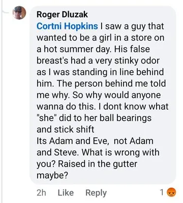 Dluzak Heat & Air Logo