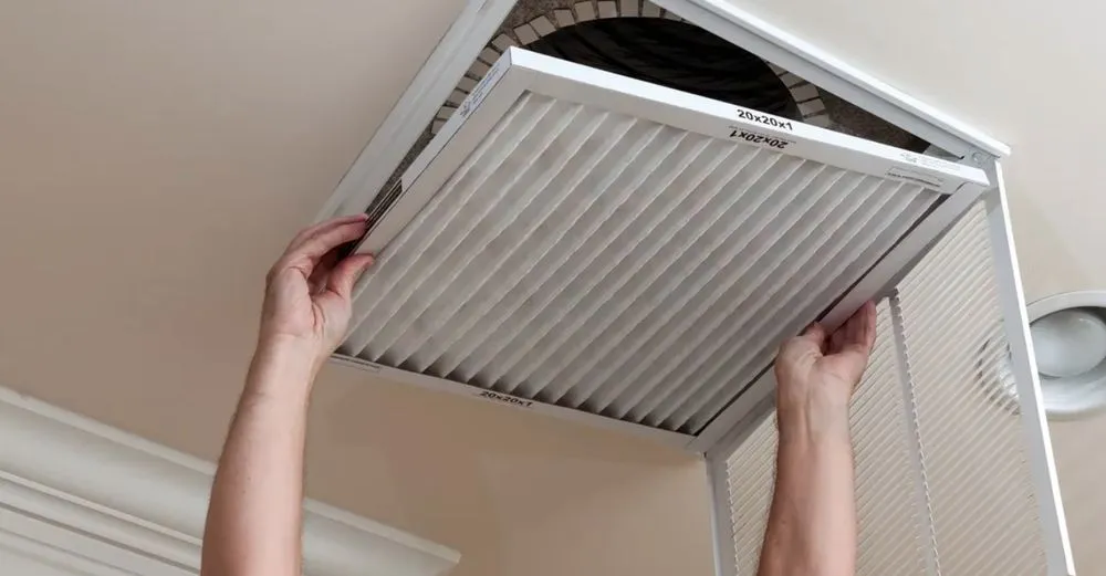 Slide of DmL Brother service