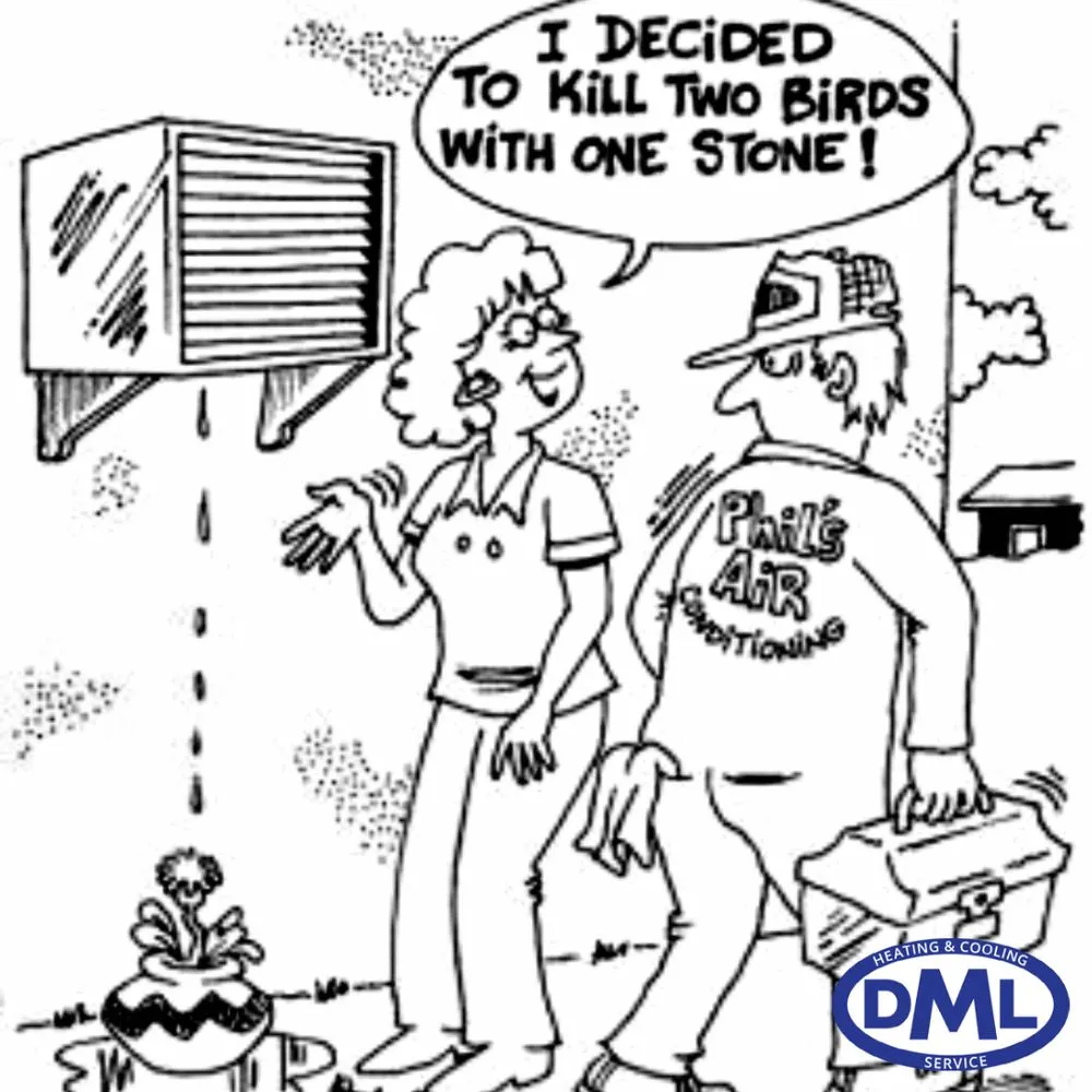 Slide of DML Services of Idaho