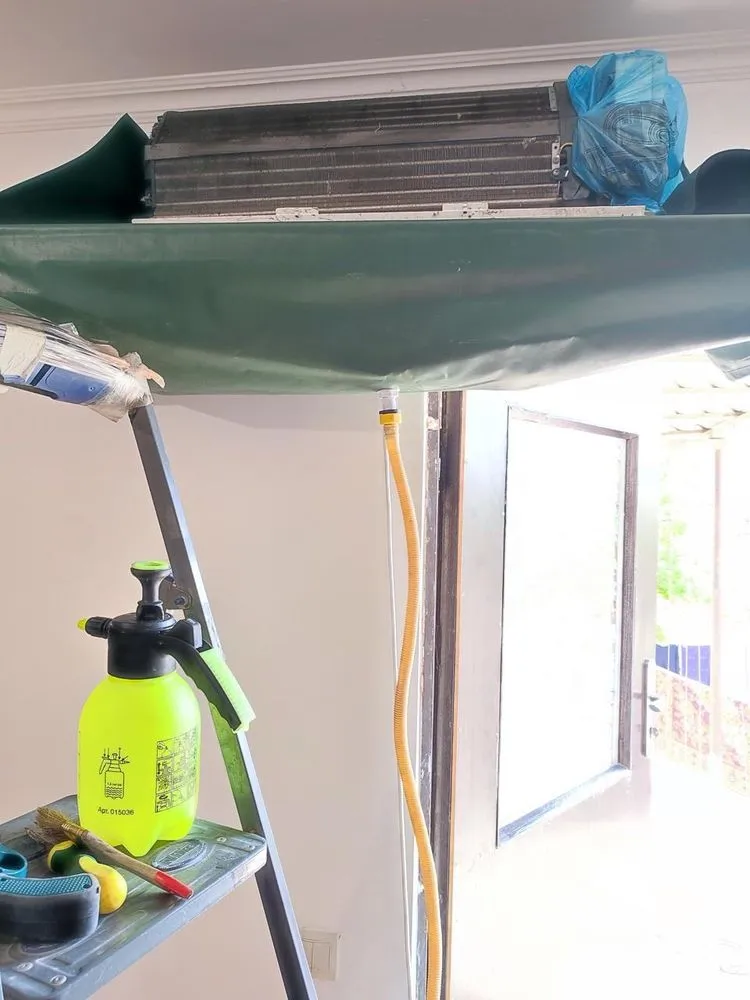 Slide of DMZ Climate