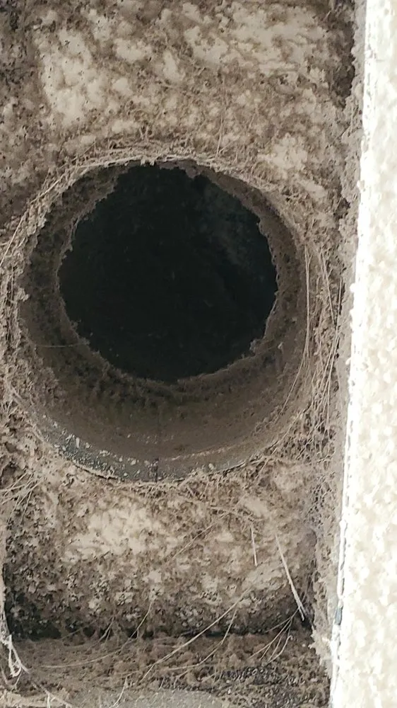 Slide of DNA Air Duct Cleaning