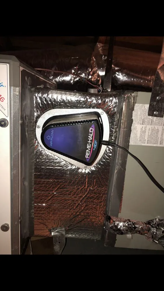 Slide of DNA Heating & Cooling