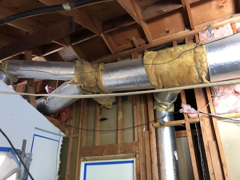 Slide of DNA Heating & Cooling