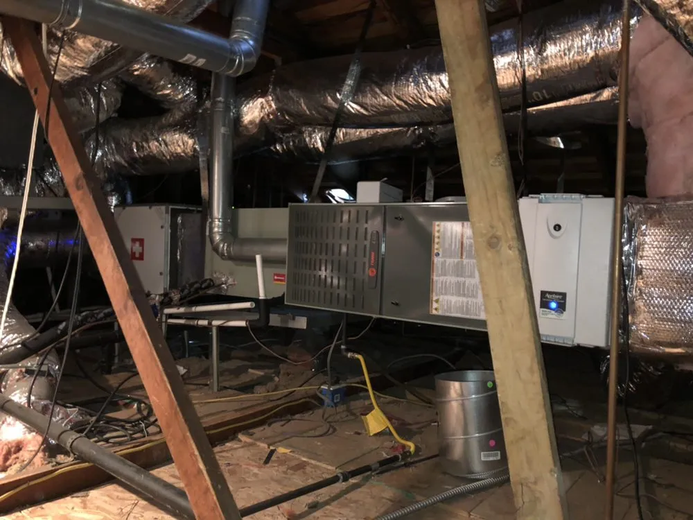 Slide of DNA Heating & Cooling