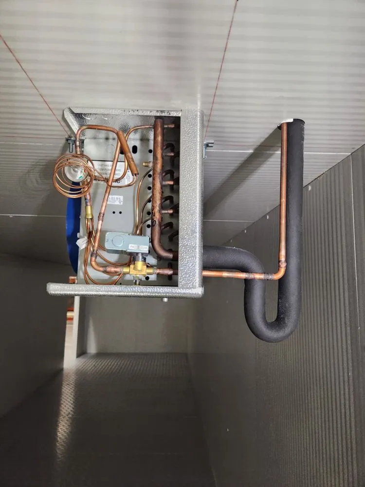 Slide of DNA Refrigeration Heating & Cooling