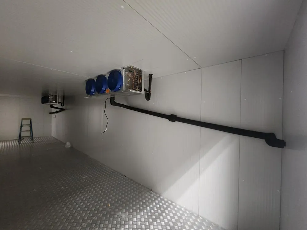 Slide of DNA Refrigeration Heating & Cooling