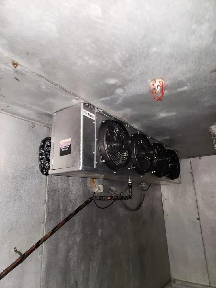 Slide of DNA Refrigeration Heating & Cooling