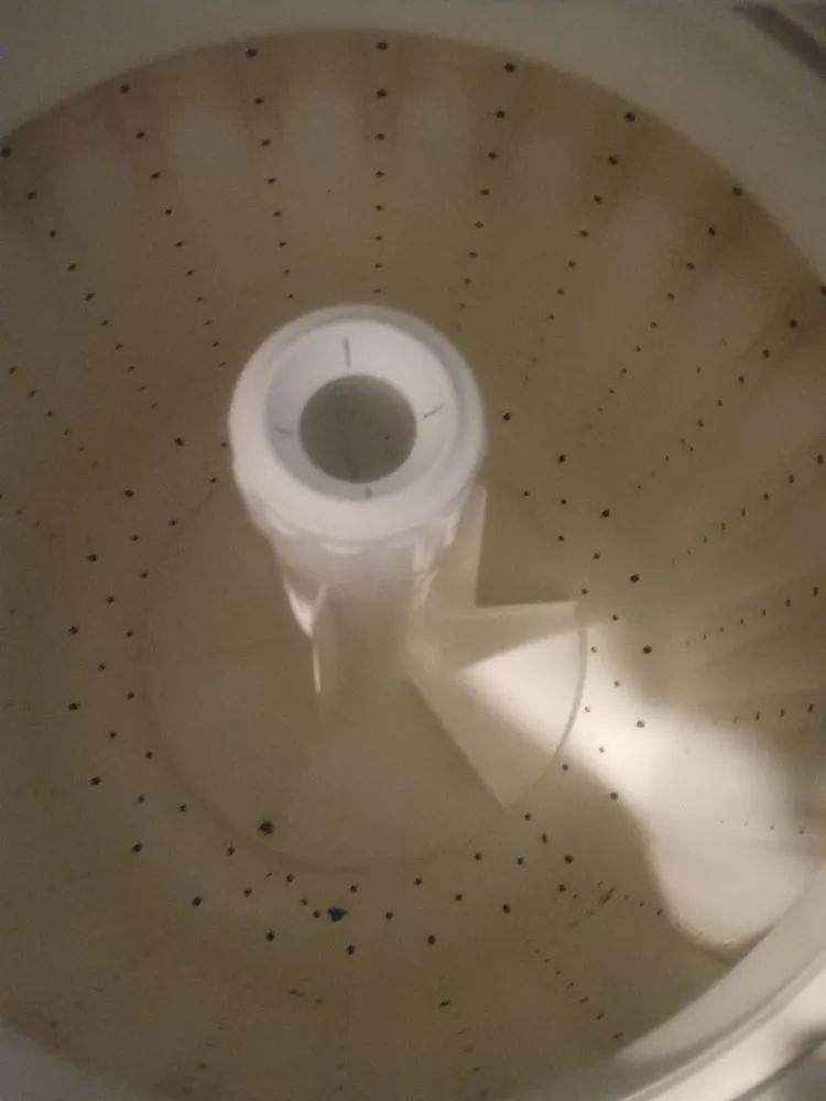 Slide of Doc's Sutton