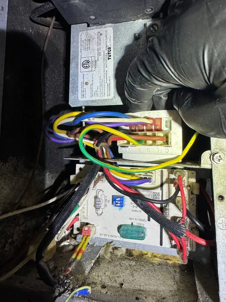 Slide of Doctor Fridge