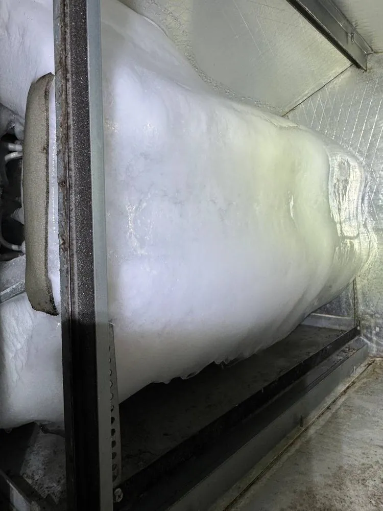 Slide of Doctor Fridge