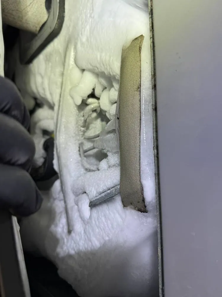 Slide of Doctor Fridge