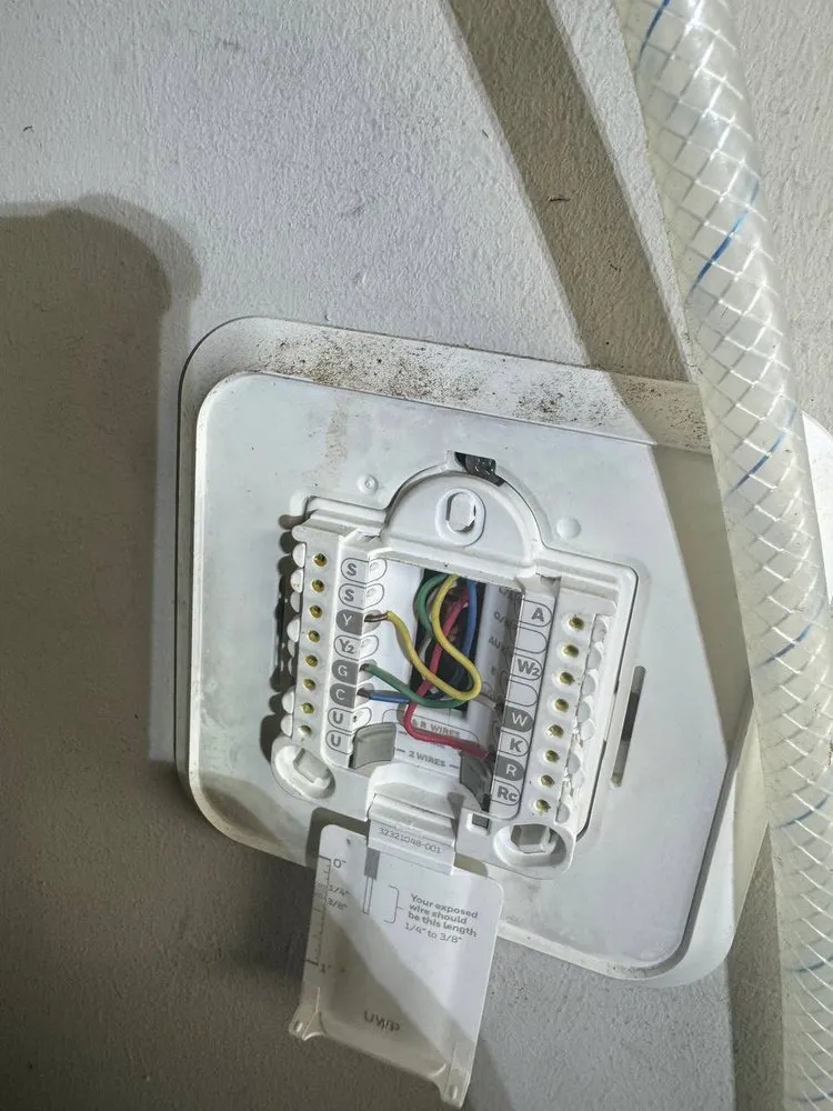 Slide of Doctor Fridge