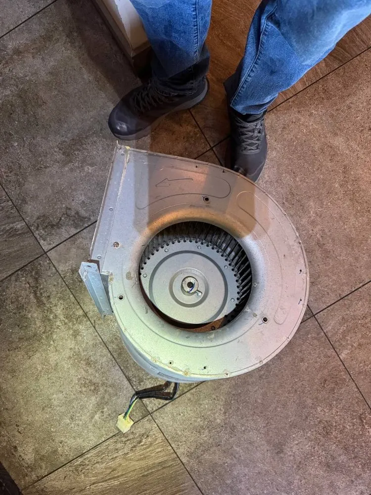 Slide of Doctor Fridge