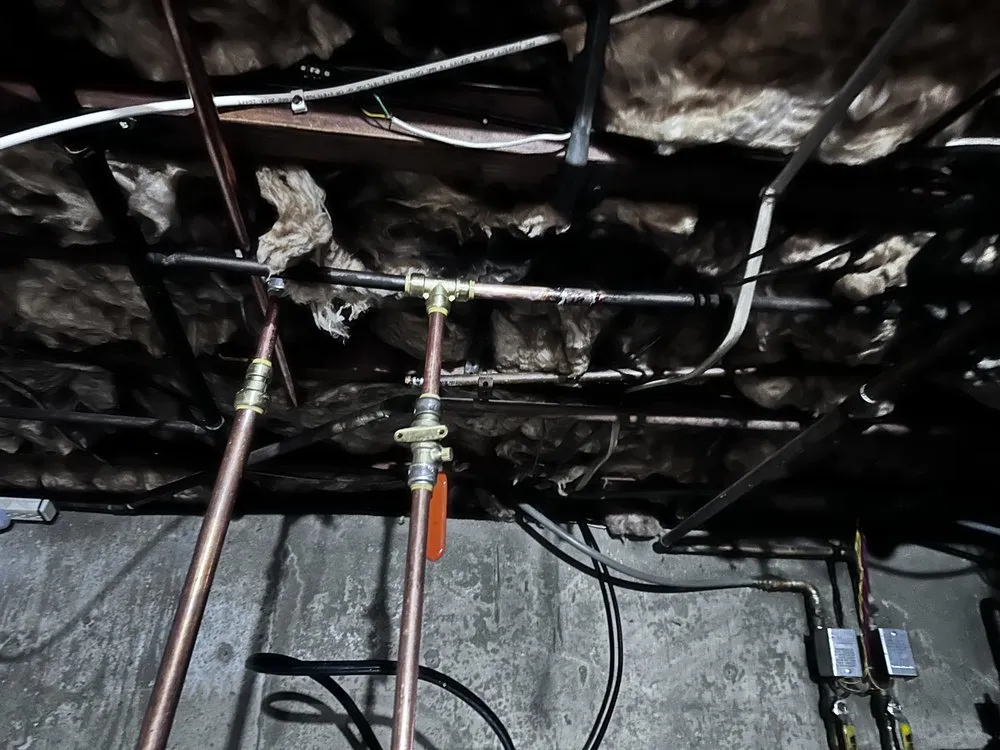 Slide of Doctor Frio