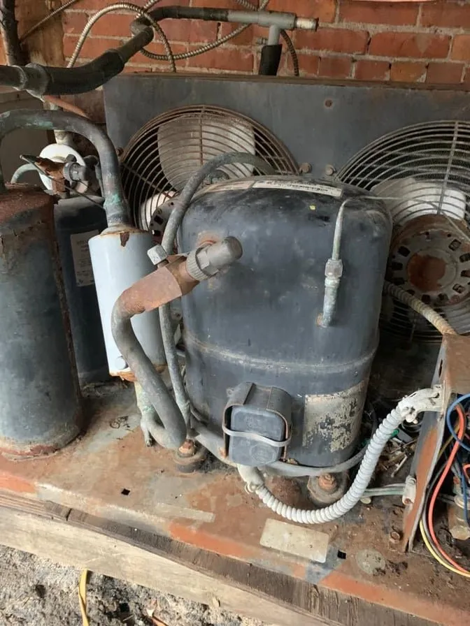 Slide of Doctor Frio