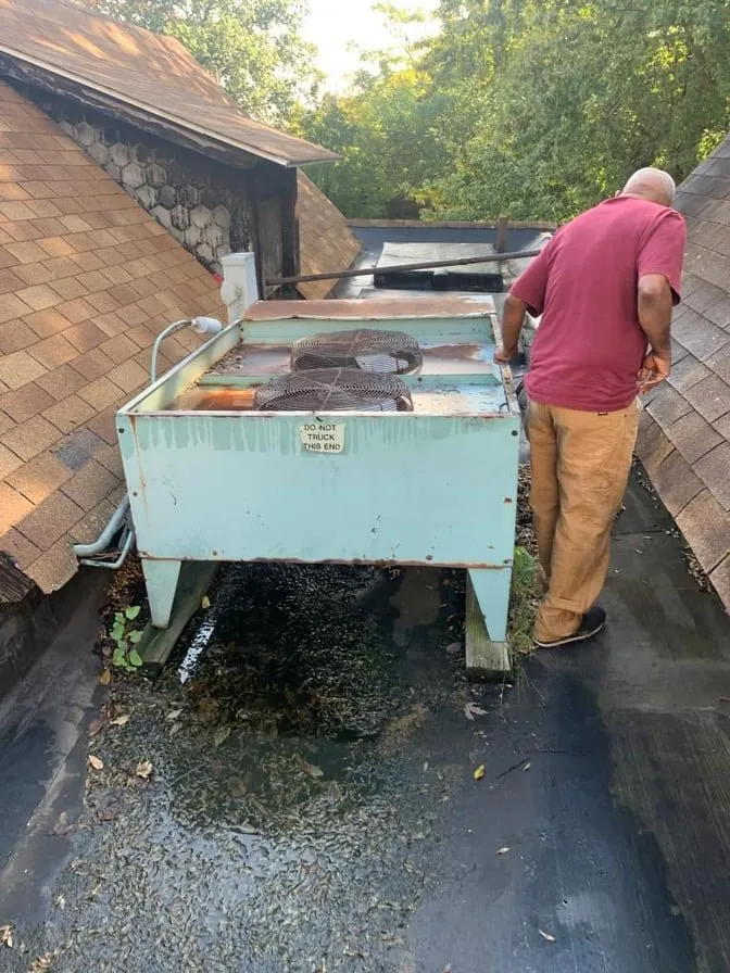 Slide of Doctor Frio