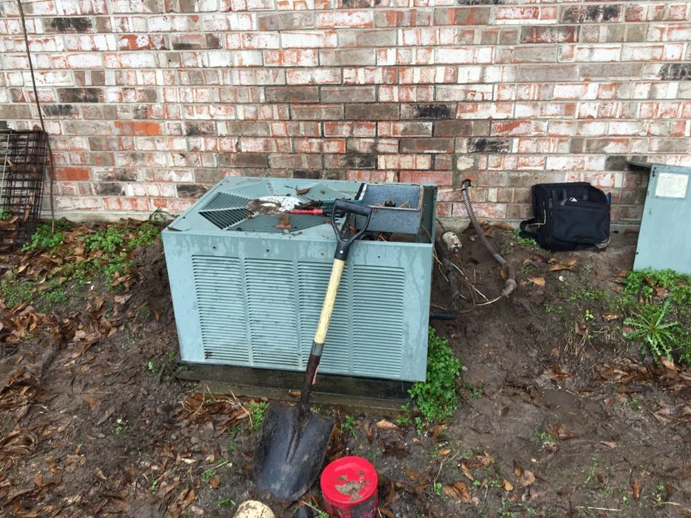 Slide of Dogwood A/C