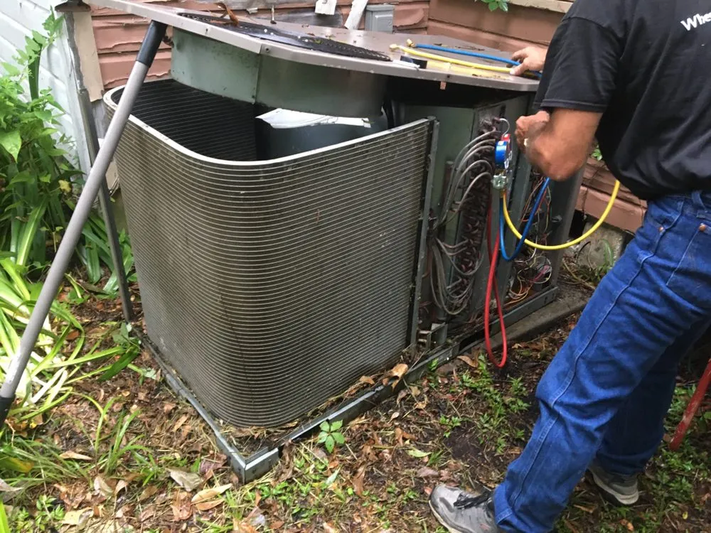 Slide of Dogwood A/C