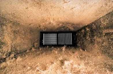 Slide of Dolphin Air Duct Cleaners