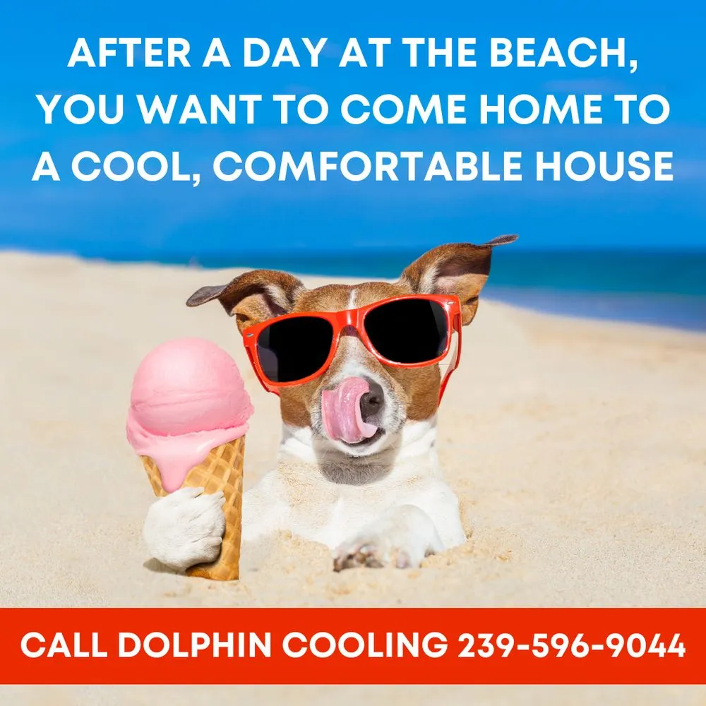 Slide of Dolphin Cooling & Heating