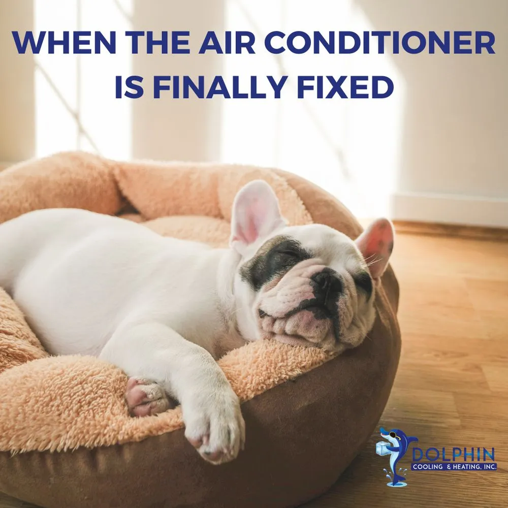 Slide of Dolphin Cooling & Heating