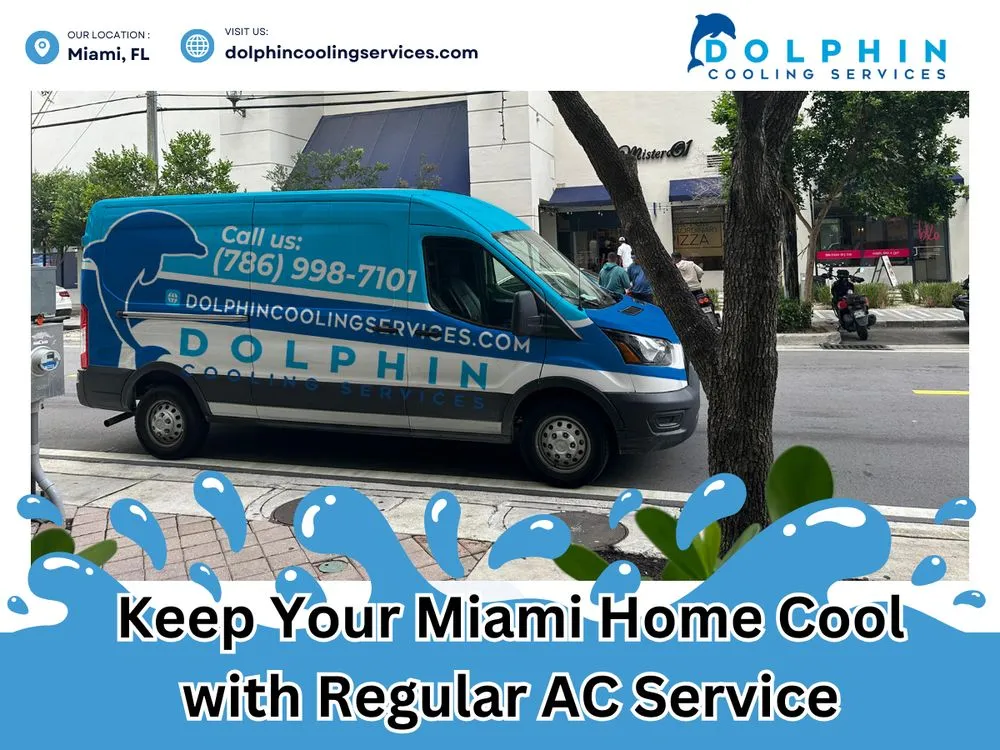 Slide of Dolphin Cooling Services