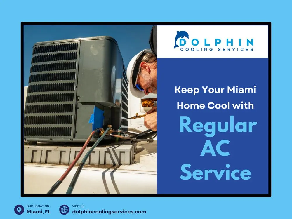 Slide of Dolphin Cooling Services