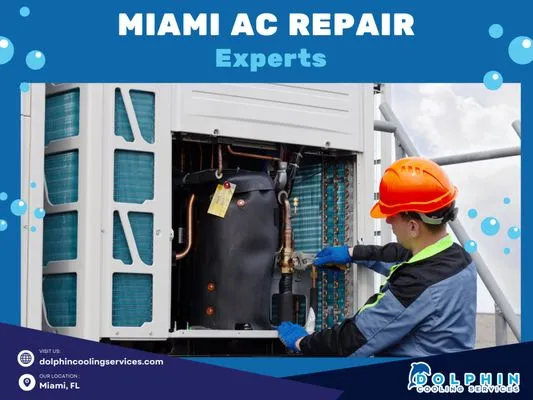 Dolphin Cooling Services Logo