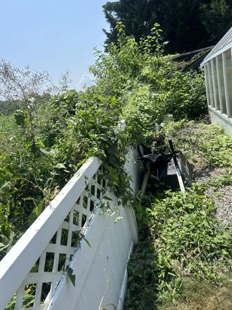 Slide of Doms Handy Solutions