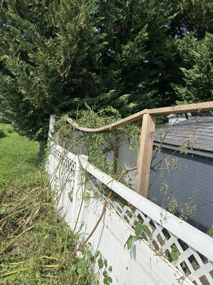 Slide of Doms Handy Solutions