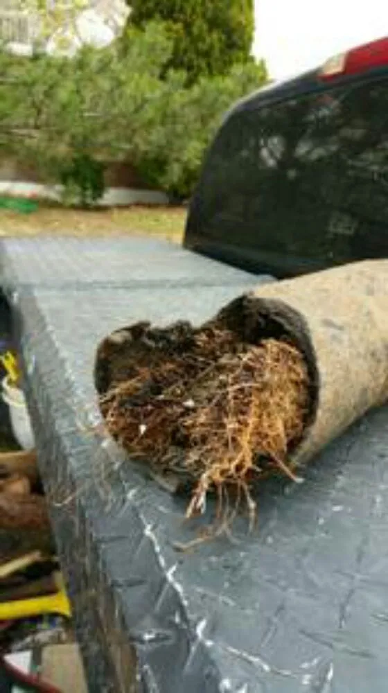 Slide of Dom's Plumbing