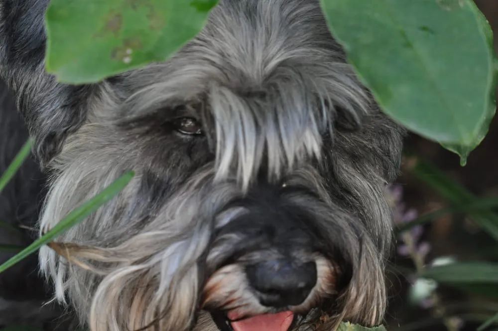 Slide of Don Hoffacker's Air Conditioning & Heating