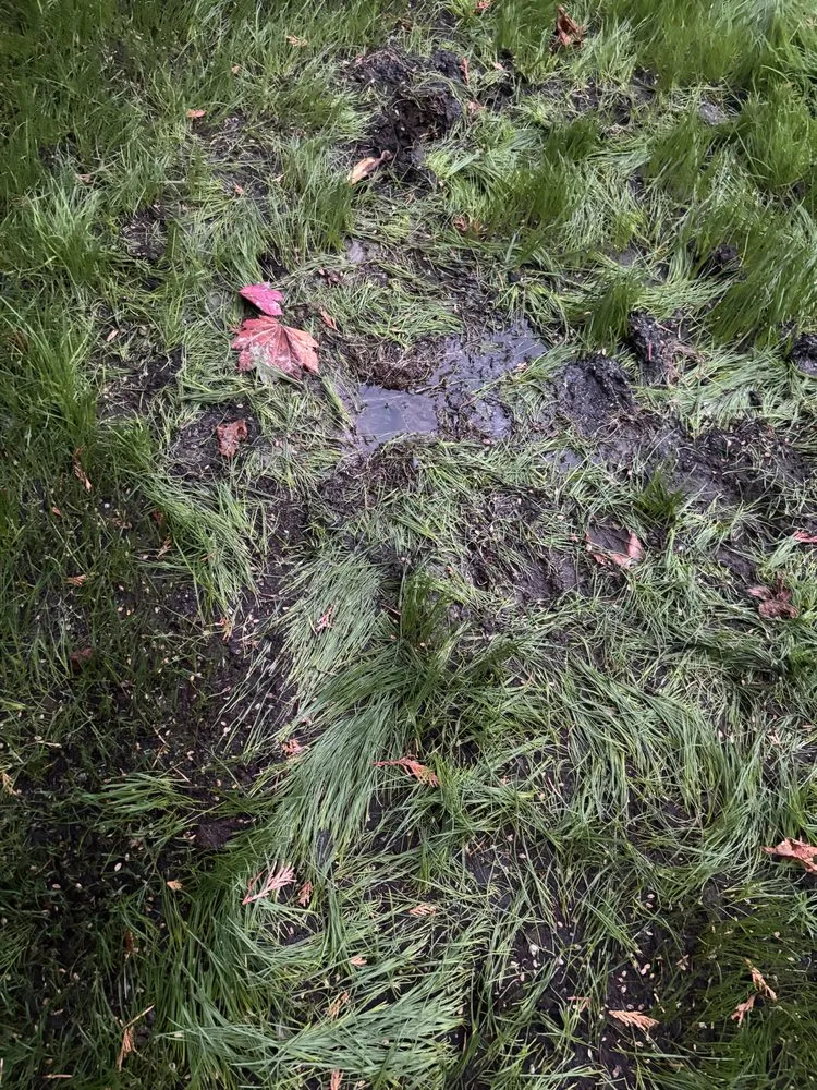 Slide of Done Right Plumbing, Heating, and Sewer Repair