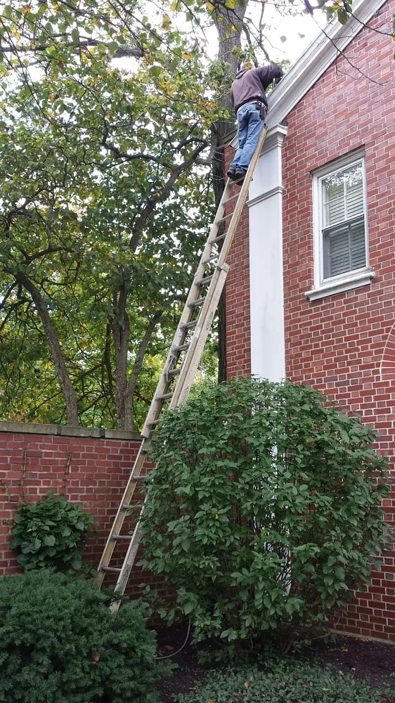 Slide of Done Right Services