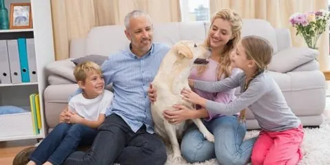 Slide of Donovan & Jorgenson