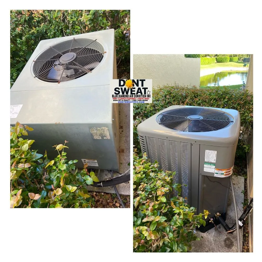 Slide of Dontsweat & Blue Diamond