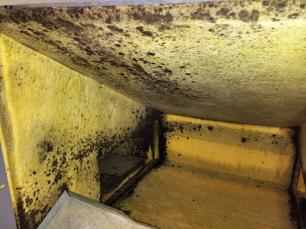 Slide of Douglas Cooling & Heating