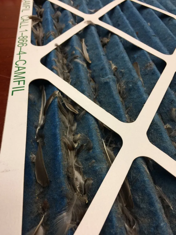 Slide of Douglas Cooling & Heating