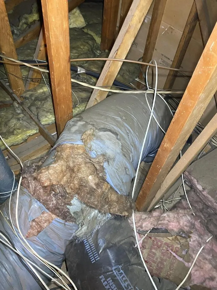 Slide of Douglas HVAC