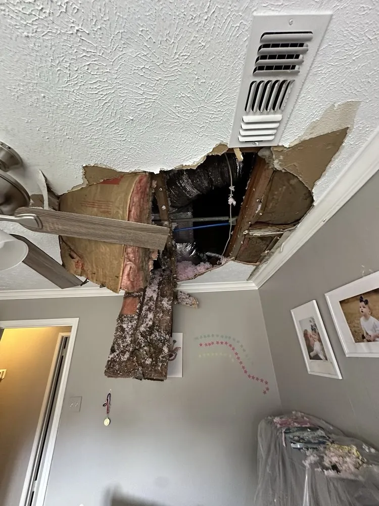 Slide of Douglas Mechanical