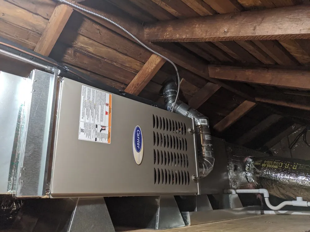 Slide of Dove's Services