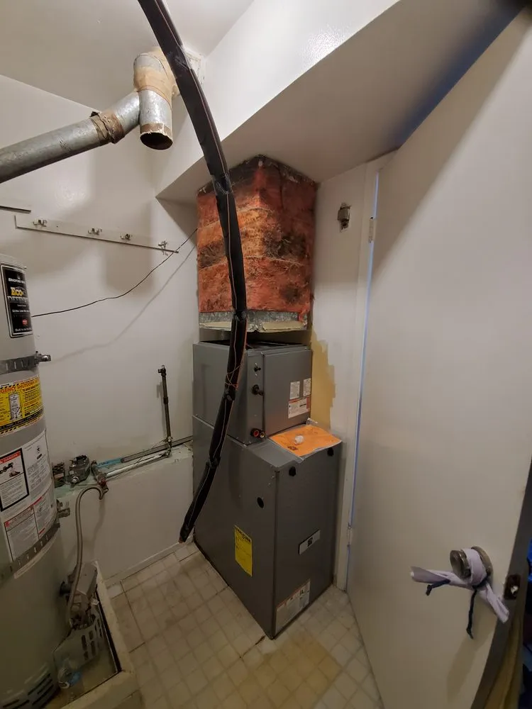 Slide of Dove's Services