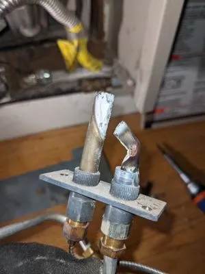 Dove's Services Logo