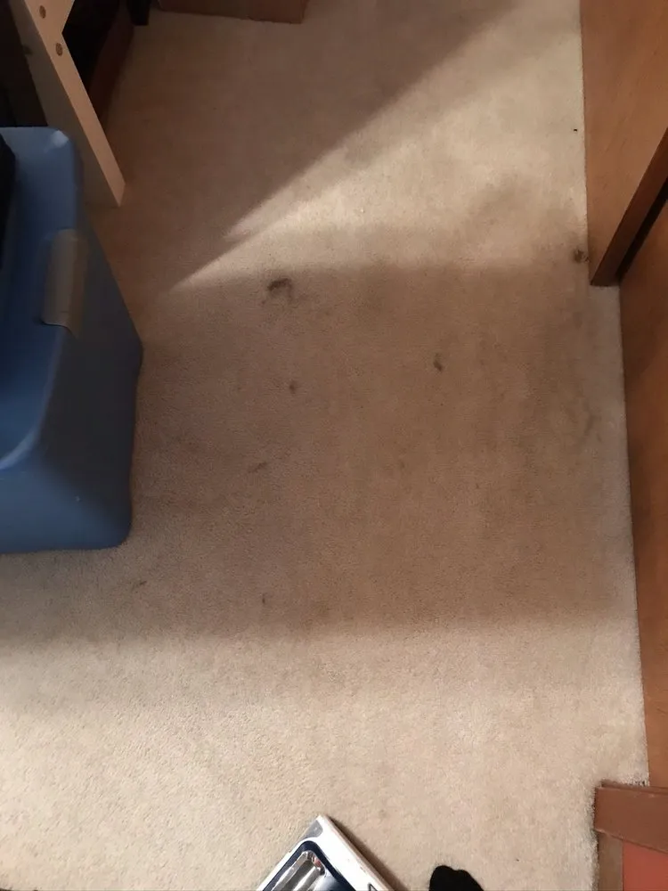 Slide of Dowe & Wagner