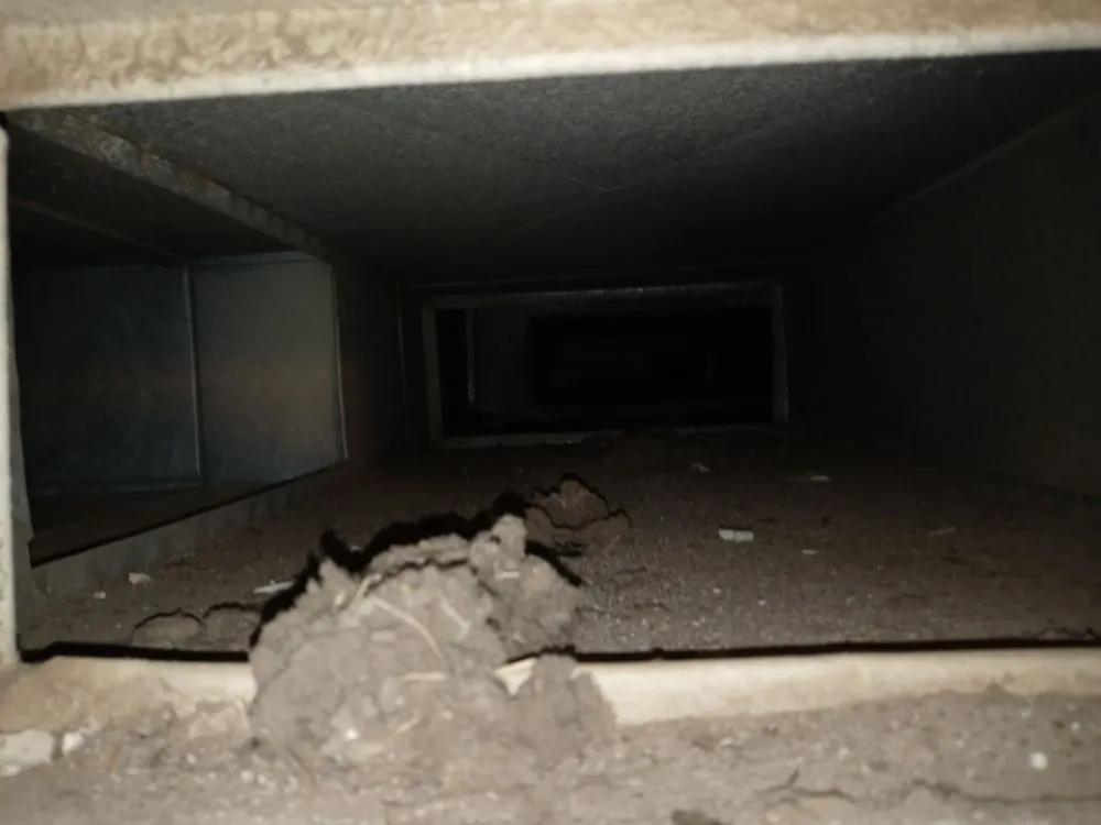 Slide of Dr Duct Cleaner