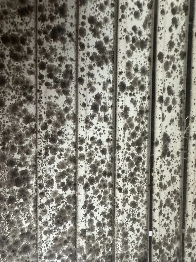 Slide of Dr Green Thumb