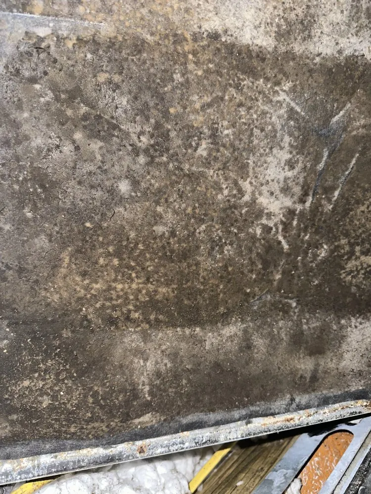 Slide of Dr Green Thumb