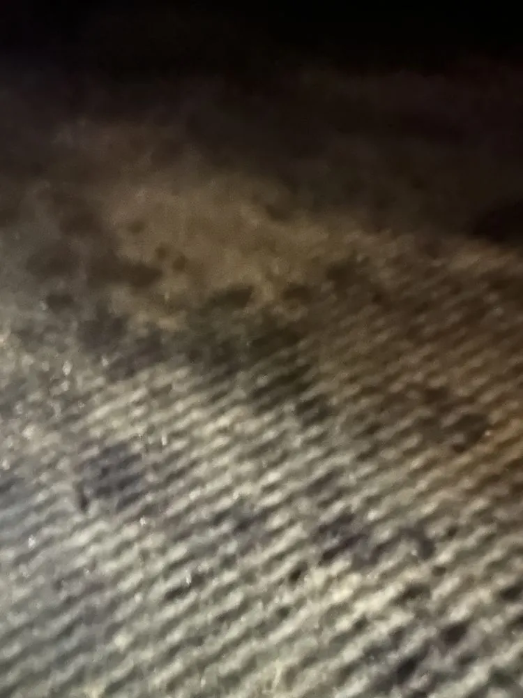 Slide of Dr Green Thumb