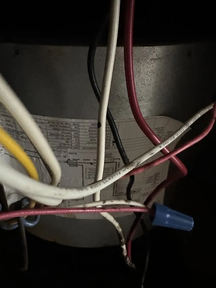 Slide of Dr Green Thumb