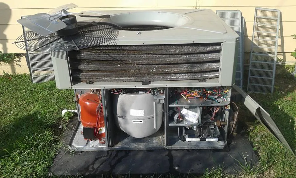 Slide of DR Unique Cleanings